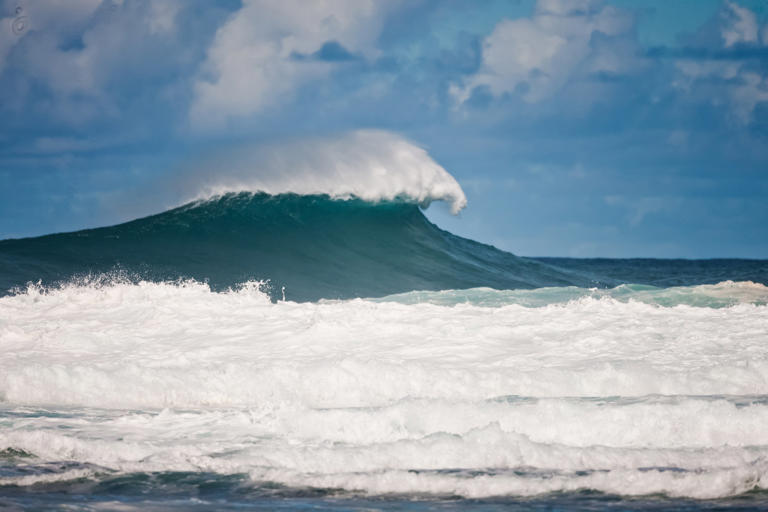 Científicos alertan por una amenaza sin precedentes en los océanos que podría intensificarse en los próximos días