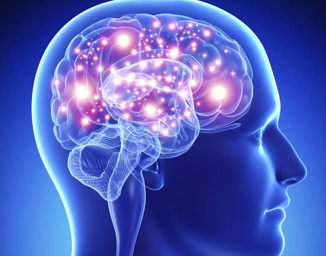 Ondas cerebrales como contraseñas Ondas cerebrales como contraseñas
